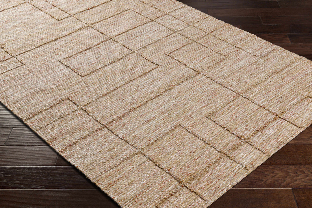 Zana Contemporary Style Tan Hand Woven Area Rug