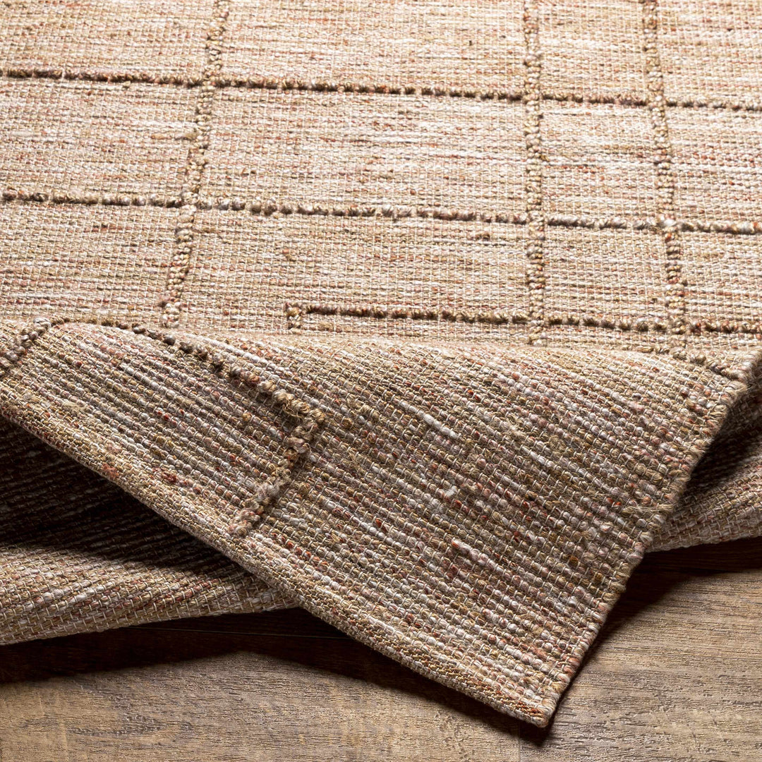Zana Contemporary Style Tan Hand Woven Area Rug