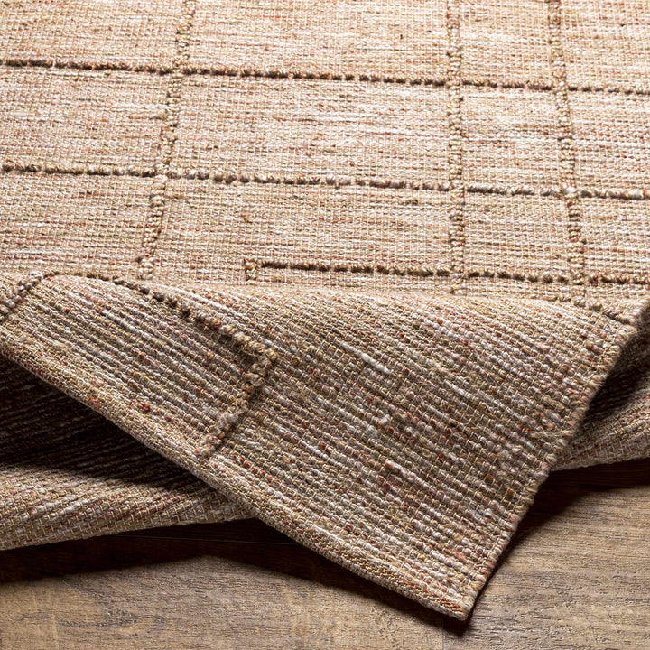 Zana Contemporary Style Tan Hand Woven Area Rug