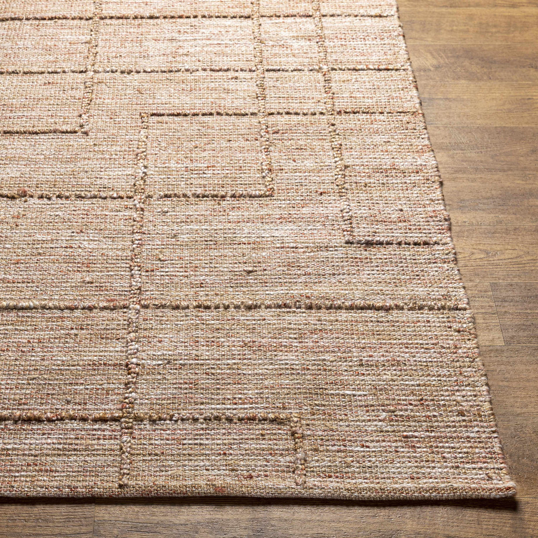 Zana Contemporary Style Tan Hand Woven Area Rug