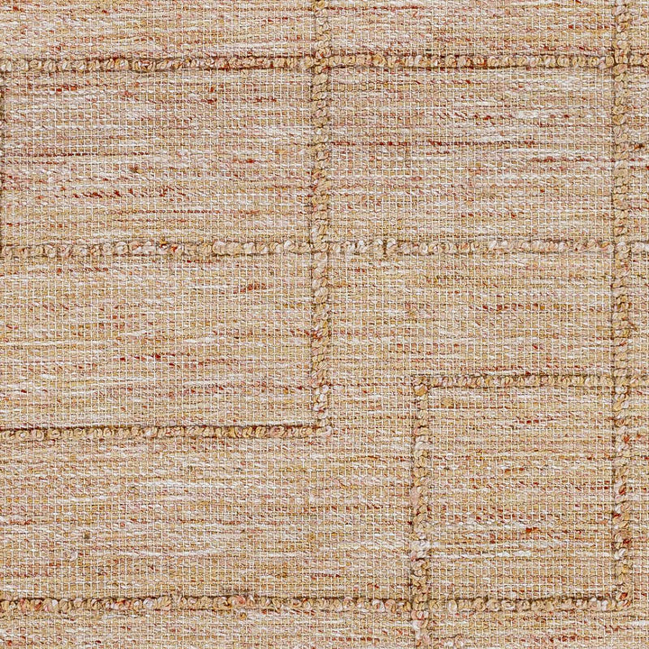 Zana Contemporary Style Tan Hand Woven Area Rug