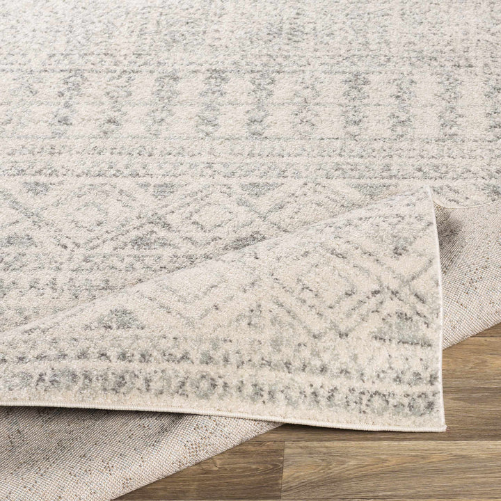 Zarephath Ivory And Gray Modern Style Area Rug