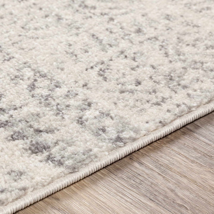 Zarephath Ivory And Gray Modern Style Area Rug