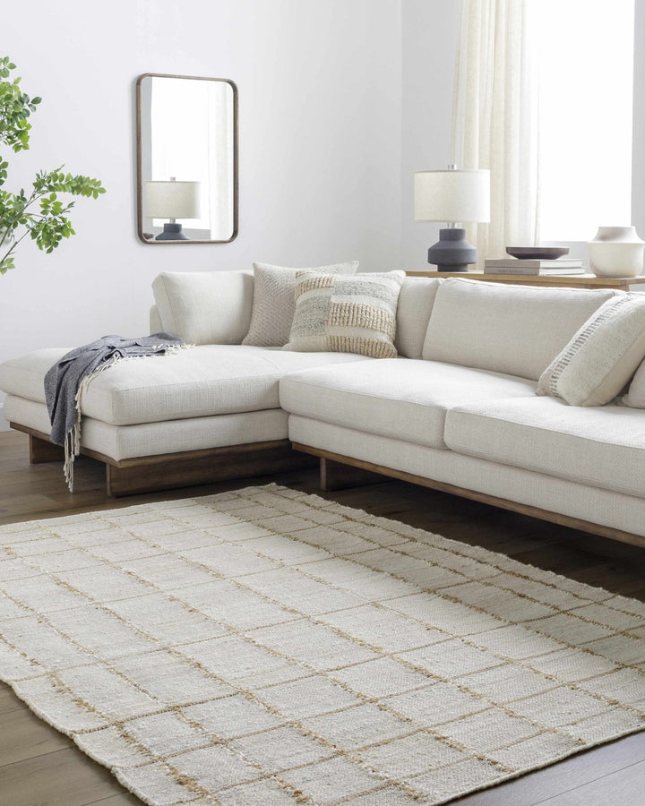 Zared Transitional Checkered Pattern Ivory Hand Woven Jute Rug - The Rug Decor