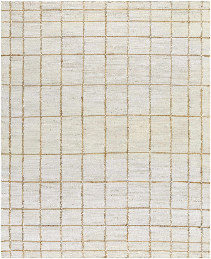 Zared Transitional Checkered Pattern Ivory Hand Woven Jute Rug - The Rug Decor