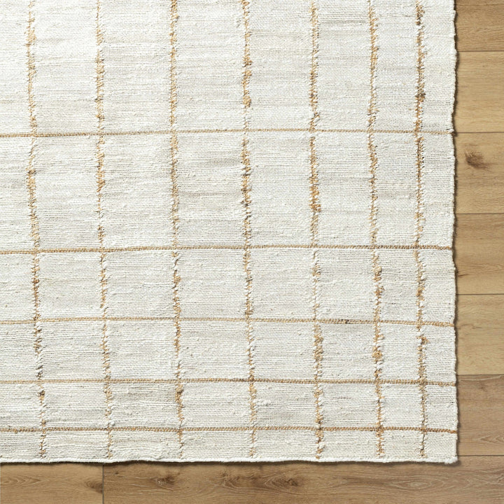 Zared Transitional Checkered Pattern Ivory Hand Woven Jute Rug - The Rug Decor