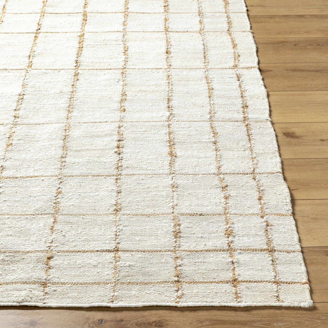 Zared Transitional Checkered Pattern Ivory Hand Woven Jute Rug - The Rug Decor