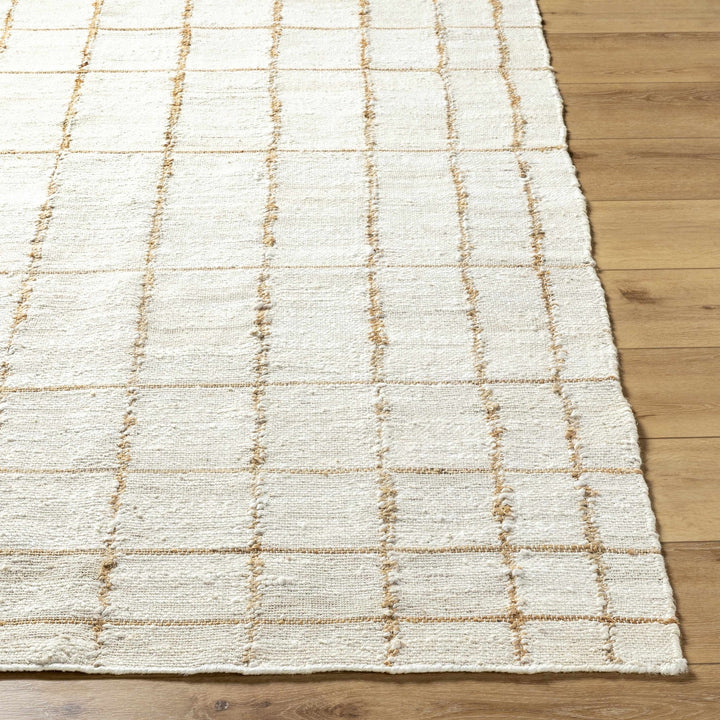 Zared Transitional Checkered Pattern Ivory Hand Woven Jute Rug - The Rug Decor