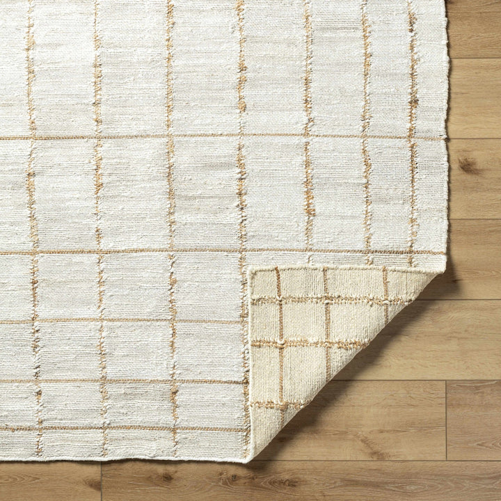 Zared Transitional Checkered Pattern Ivory Hand Woven Jute Rug - The Rug Decor