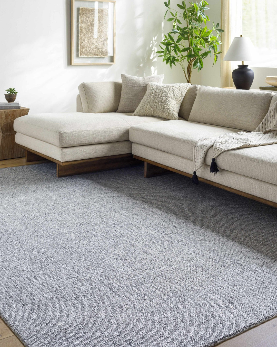 Zareh Gray Modern Solid Design Hand Loomed Rug - The Rug Decor