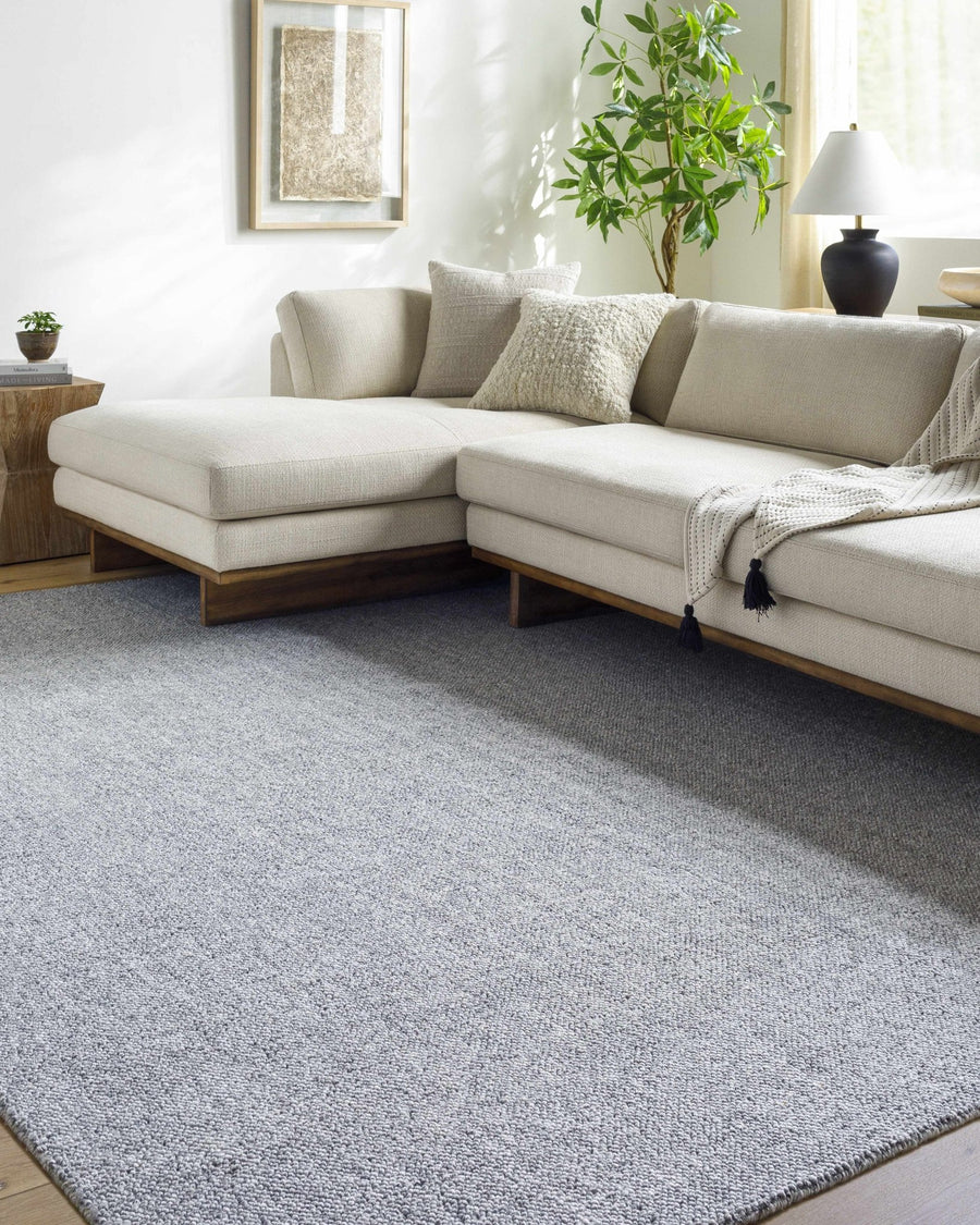 Zareh Gray Modern Solid Design Hand Loomed Rug - The Rug Decor
