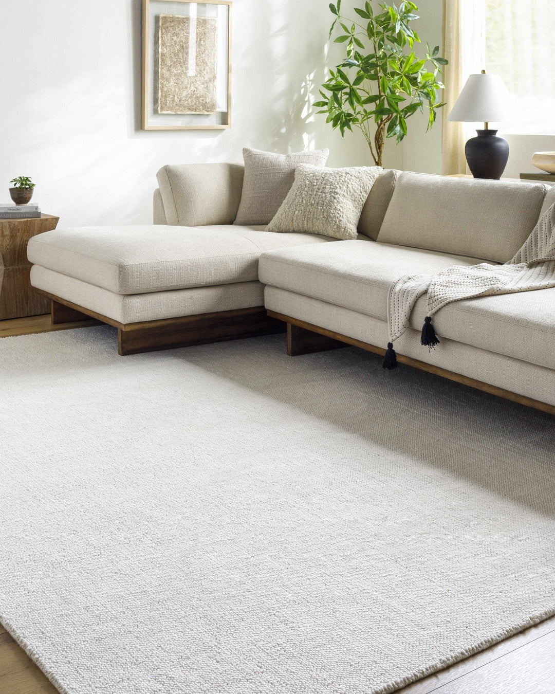 Zareh Off White Modern Solid Design Hand Loom Area Rug - The Rug Decor