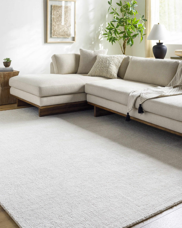 Zareh Off White Modern Solid Design Hand Loom Area Rug - The Rug Decor