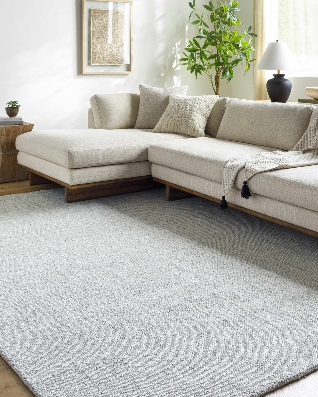 Zareh Silver Modern Solid Design Hand Loom Rug - The Rug Decor