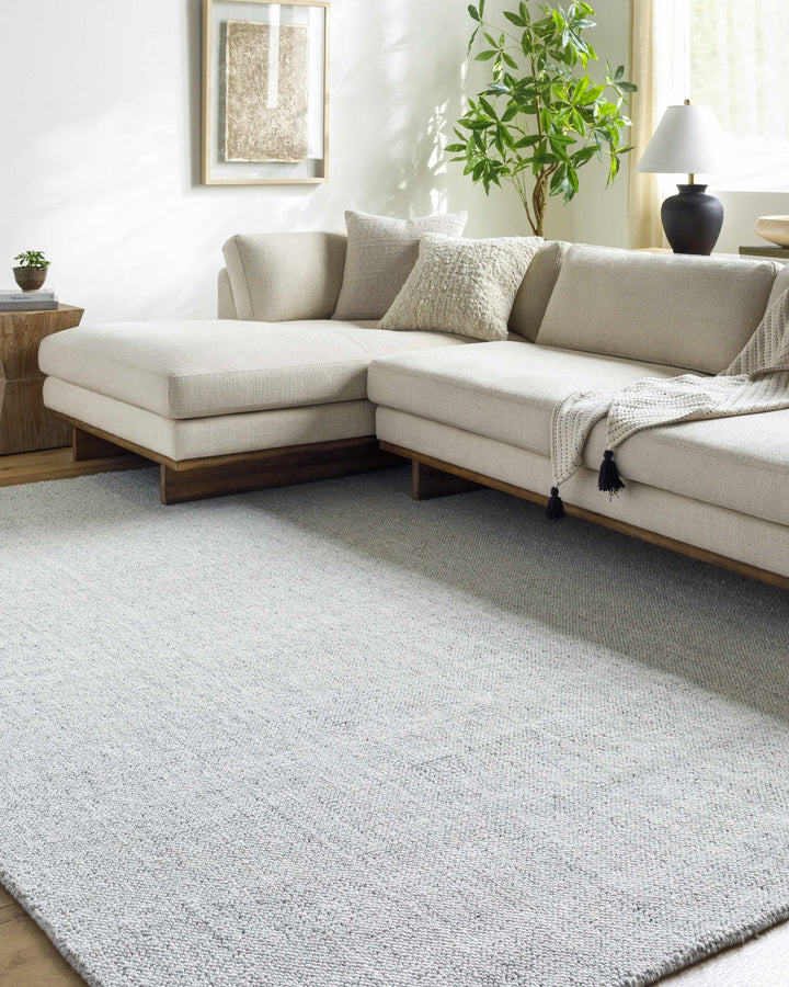 Zareh Silver Modern Solid Design Hand Loom Rug - The Rug Decor