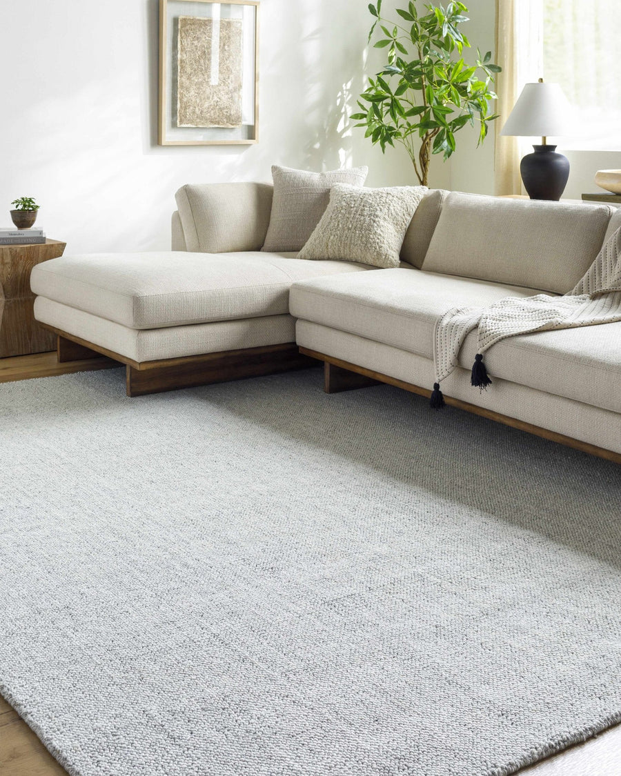 Zareh Silver Modern Solid Design Hand Loom Rug - The Rug Decor