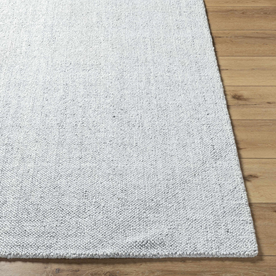 Zareh Silver Modern Solid Design Hand Loom Rug - The Rug Decor