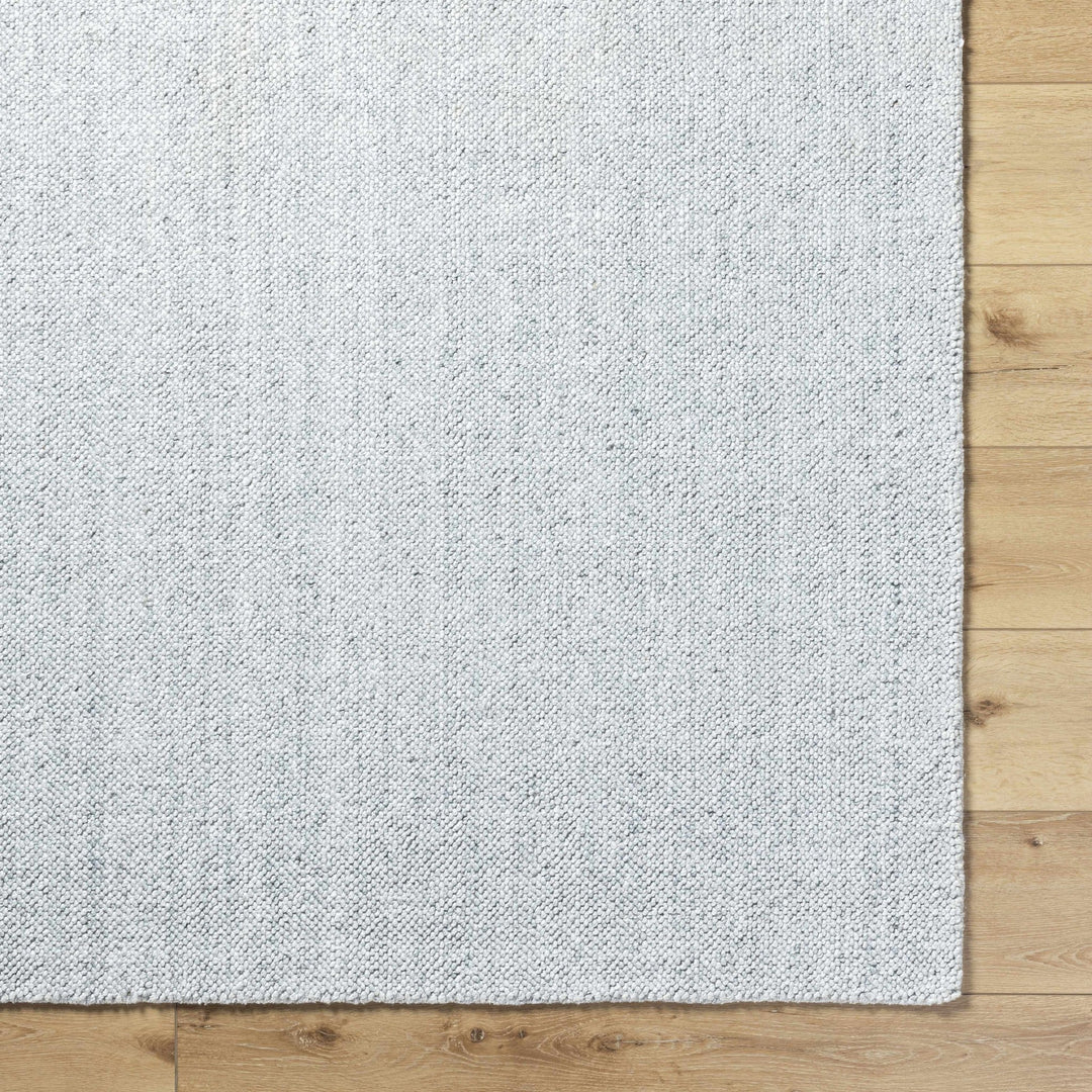 Zareh Silver Modern Solid Design Hand Loom Rug - The Rug Decor