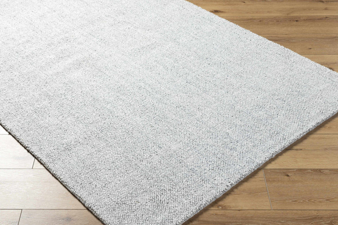 Zareh Silver Modern Solid Design Hand Loom Rug - The Rug Decor