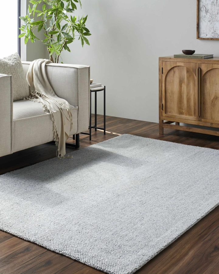 Zareh Silver Modern Solid Design Hand Loom Rug - The Rug Decor