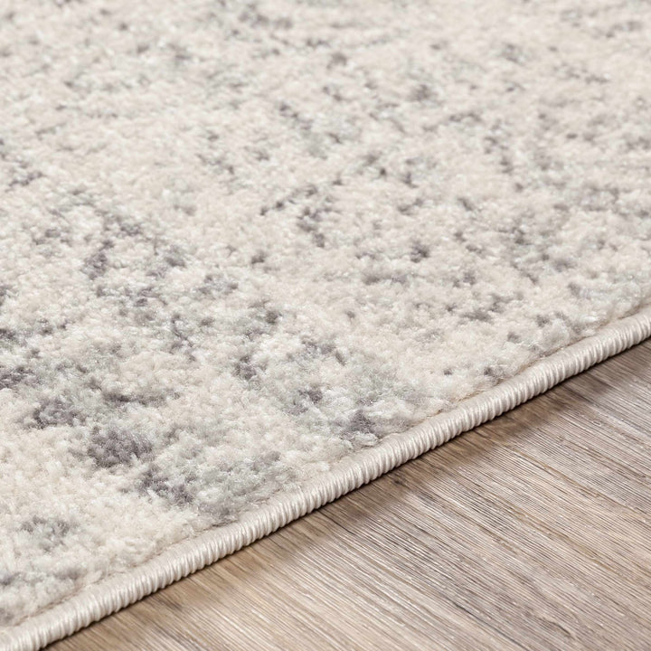 Zarephath Ivory And Gray Modern Style Area Rug - The Rug Decor