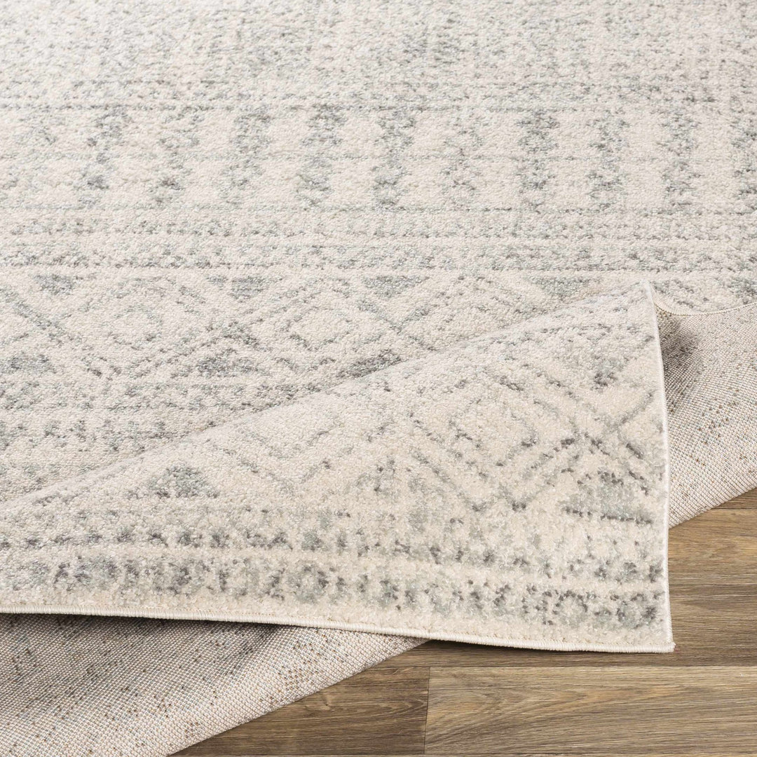 Zarephath Ivory And Gray Modern Style Area Rug - The Rug Decor