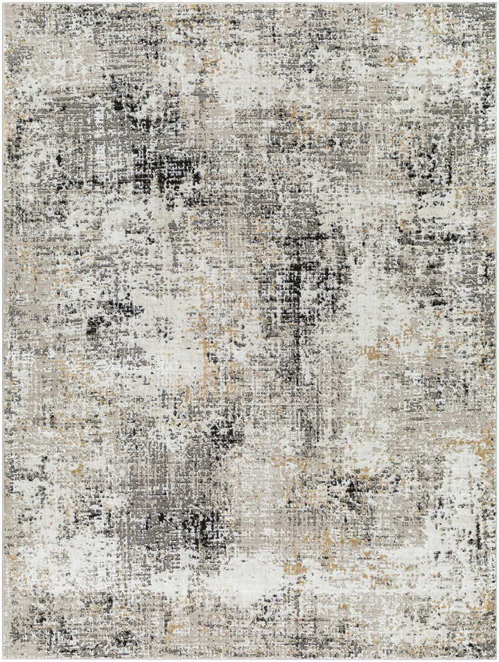 Zasha Modern Abstract Design Charcoal And Beige Area Rug - The Rug Decor