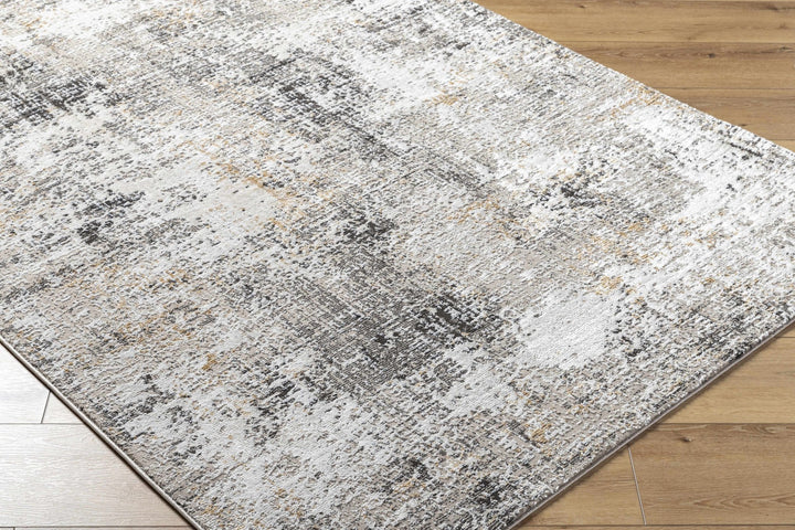 Zasha Modern Abstract Design Charcoal And Beige Area Rug - The Rug Decor