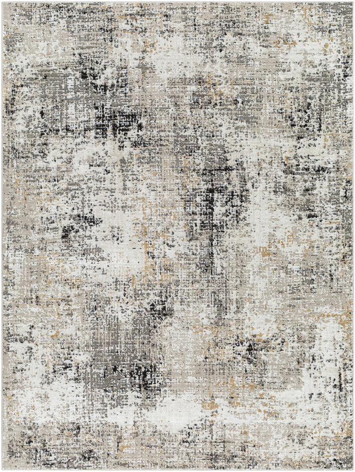 Zasha Modern Abstract Design Charcoal And Beige Area Rug