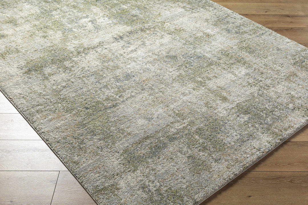Olive Contemporary Style Machine Woven Rug