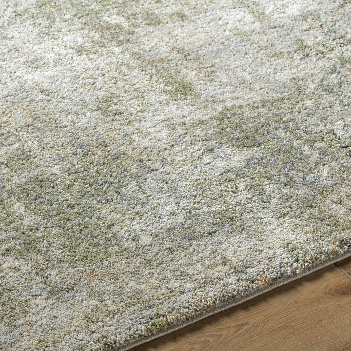 Olive Contemporary Style Machine Woven Rug