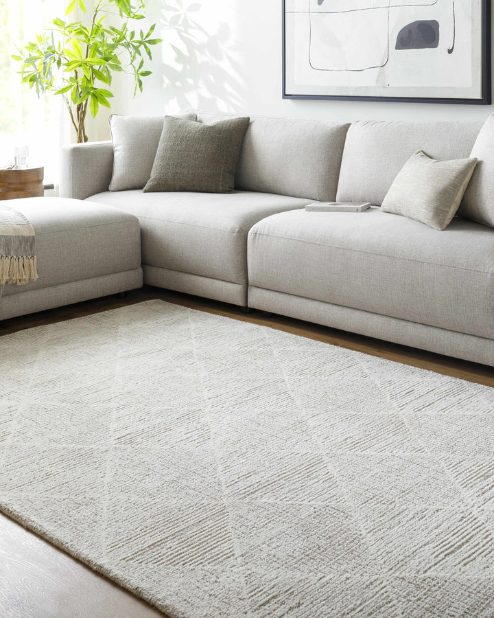 Zonta Modern Geometric Design Ivory Hand Tufted Wool Area Rug