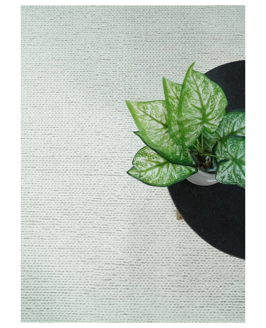 5x8 and 8x10 Braided Wool Solid White Felted Chunky Hand Woven Soft Plush Area Rug | DOV6 - The Rug Decor