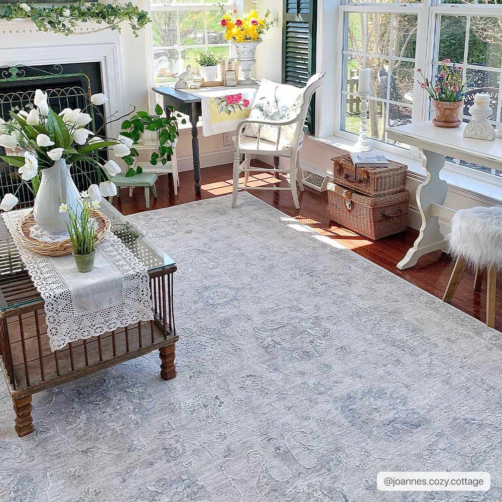 Antique Look Floral Beige and Charcoal Traditional Design Area Rug - The Rug Decor