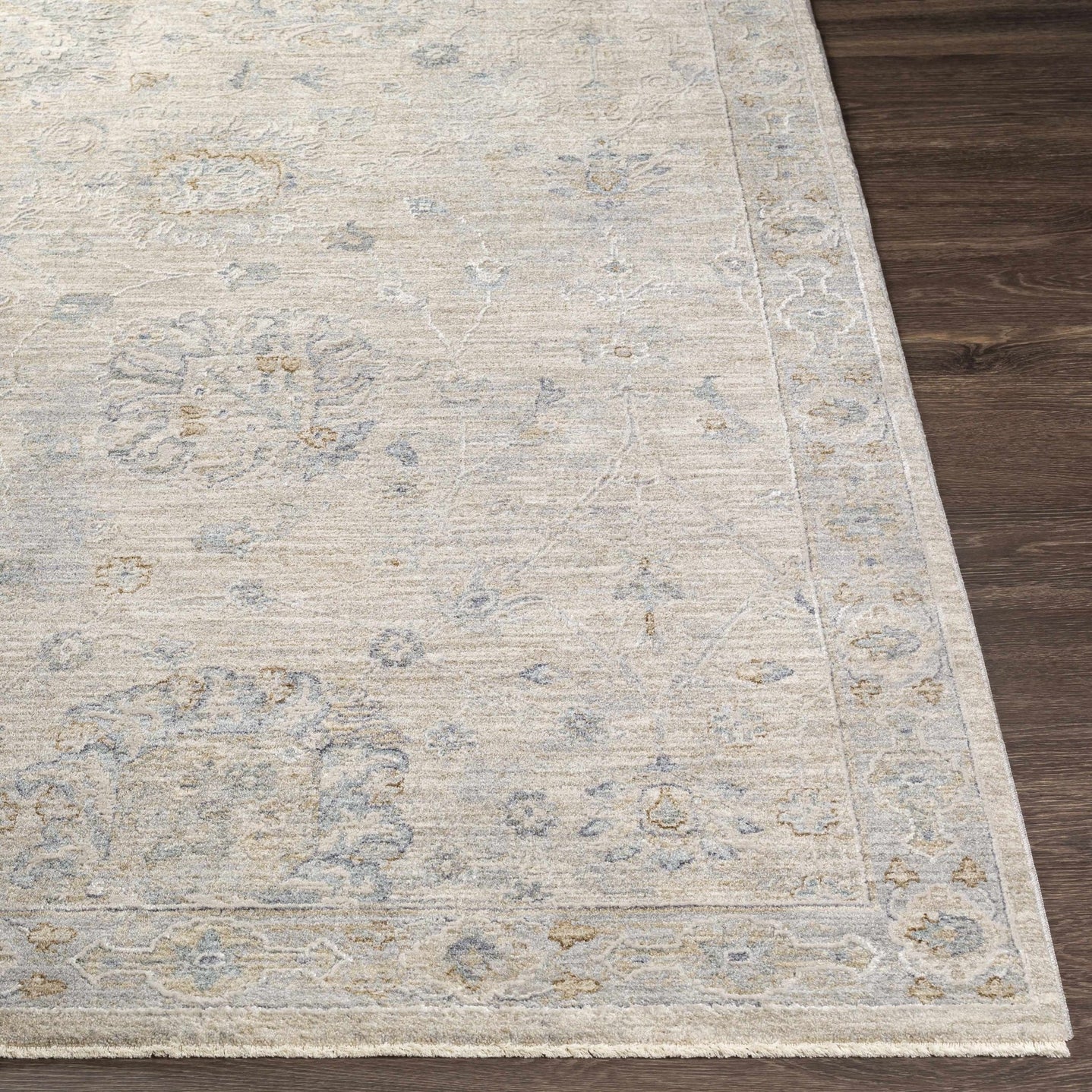 Antique Look Floral Beige and Charcoal Traditional Design Area Rug - The Rug Decor