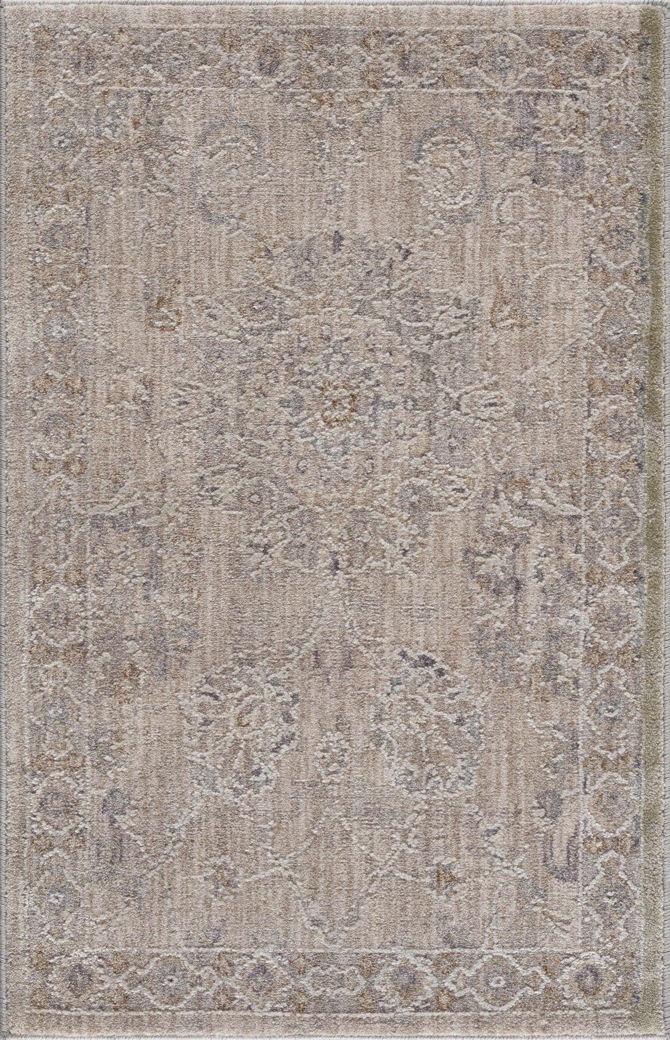 Antique Look Floral Beige and Charcoal Traditional Design Area Rug - The Rug Decor