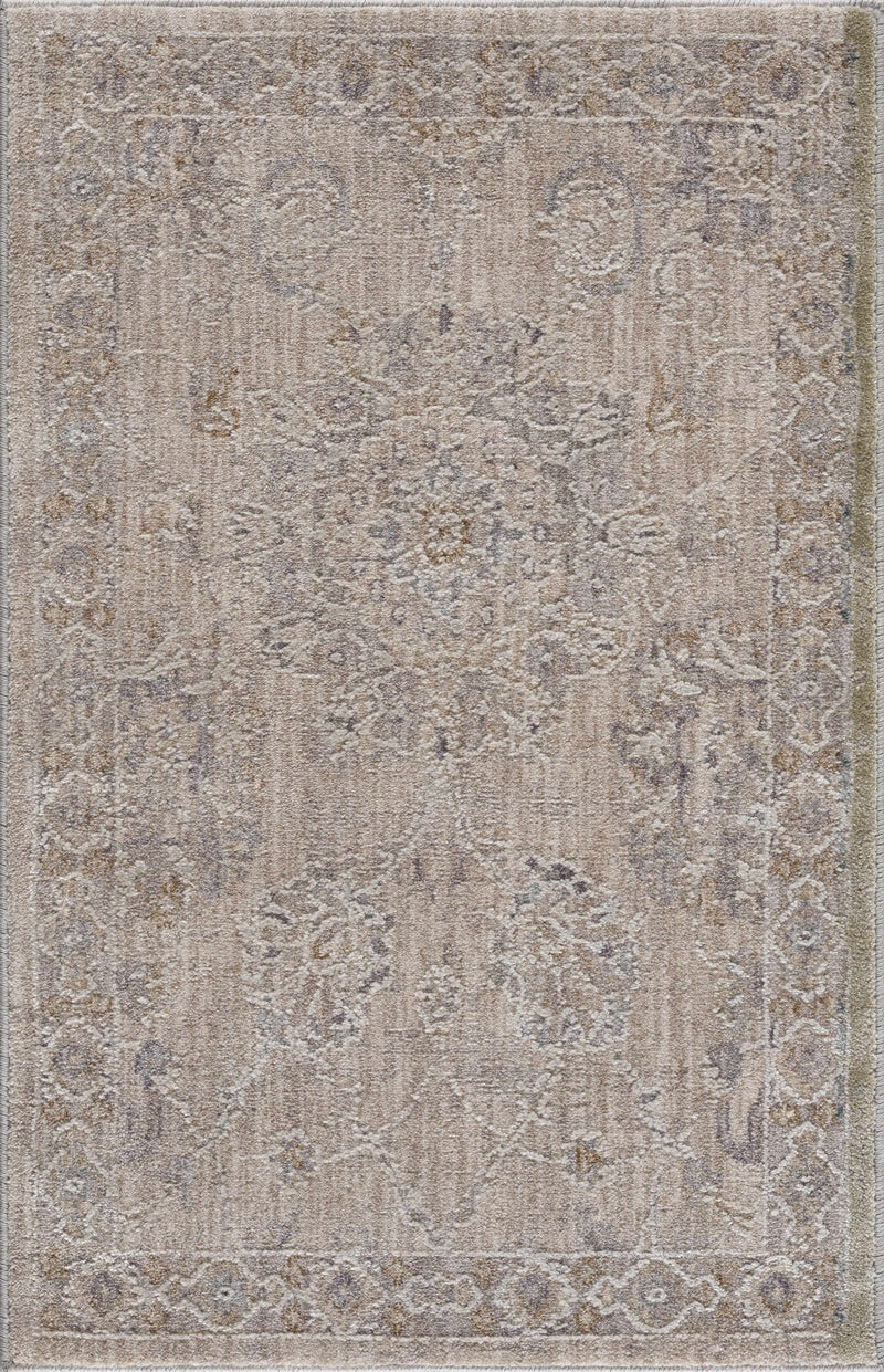 Antique Look Floral Beige and Charcoal Traditional Design Area Rug - The Rug Decor