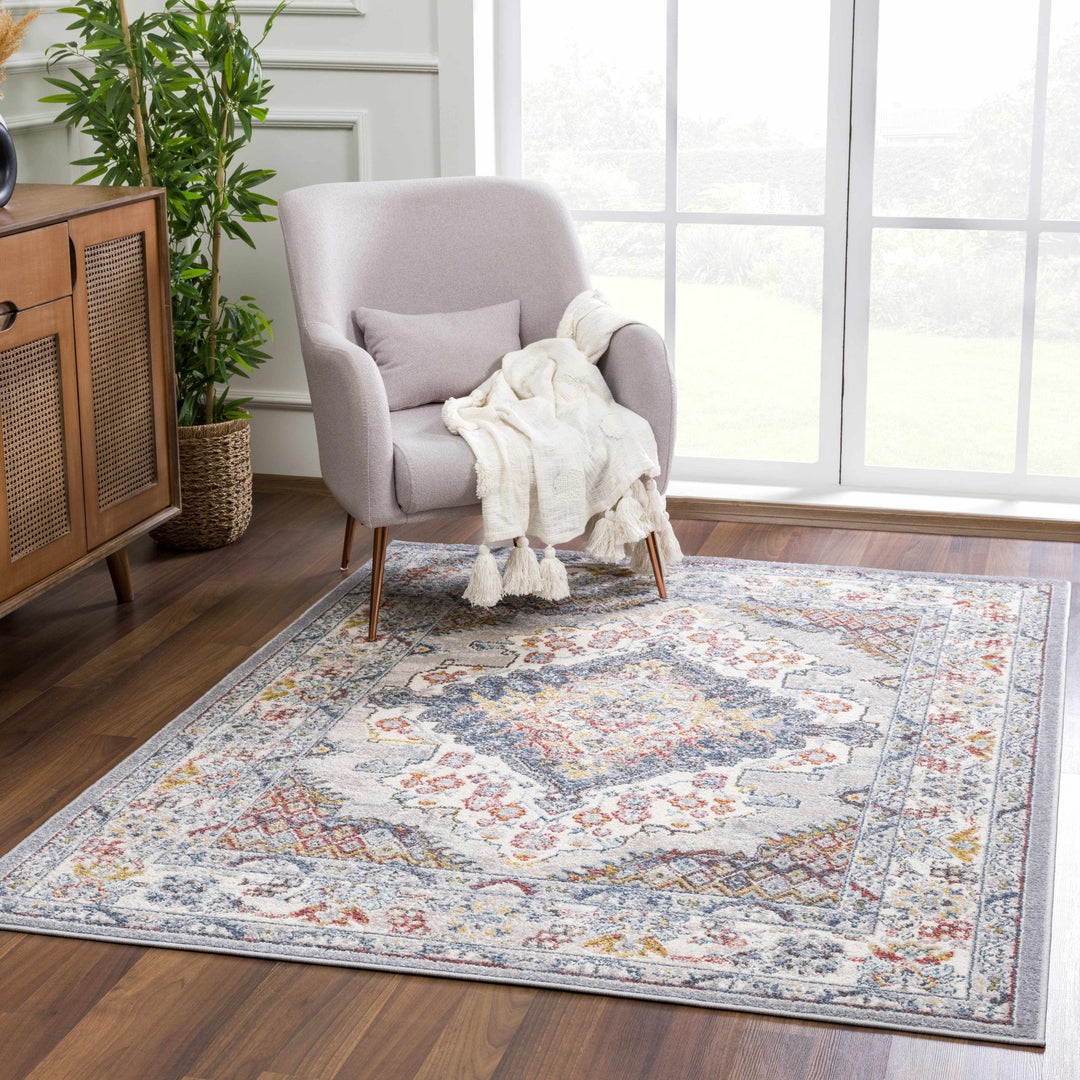 Antique look Traditional Machine Woven Tan, Charcoal, Ivory and Rust Multi Size Rug - The Rug Decor