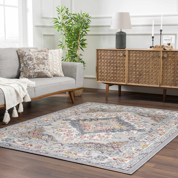 Antique look Traditional Machine Woven Tan, Charcoal, Ivory and Rust Multi Size Rug - The Rug Decor