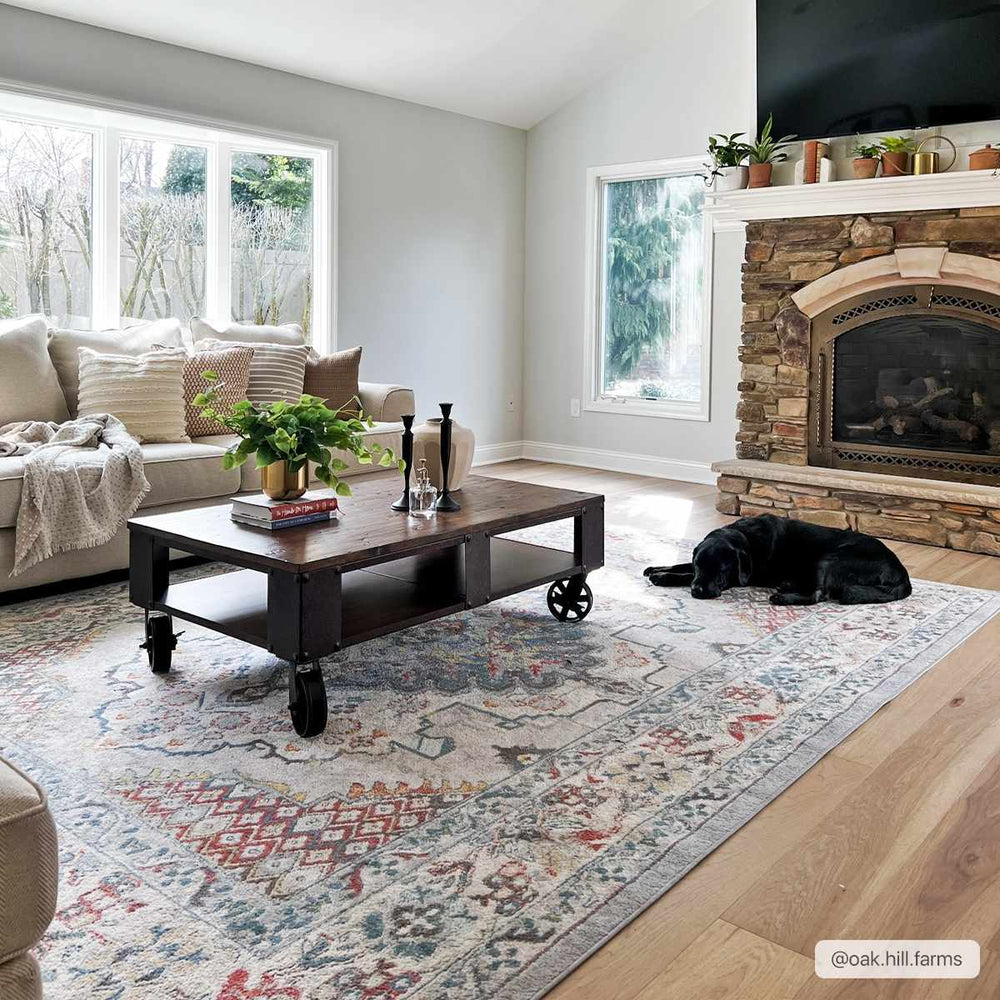 Antique look Traditional Machine Woven Tan, Charcoal, Ivory and Rust Multi Size Rug - The Rug Decor