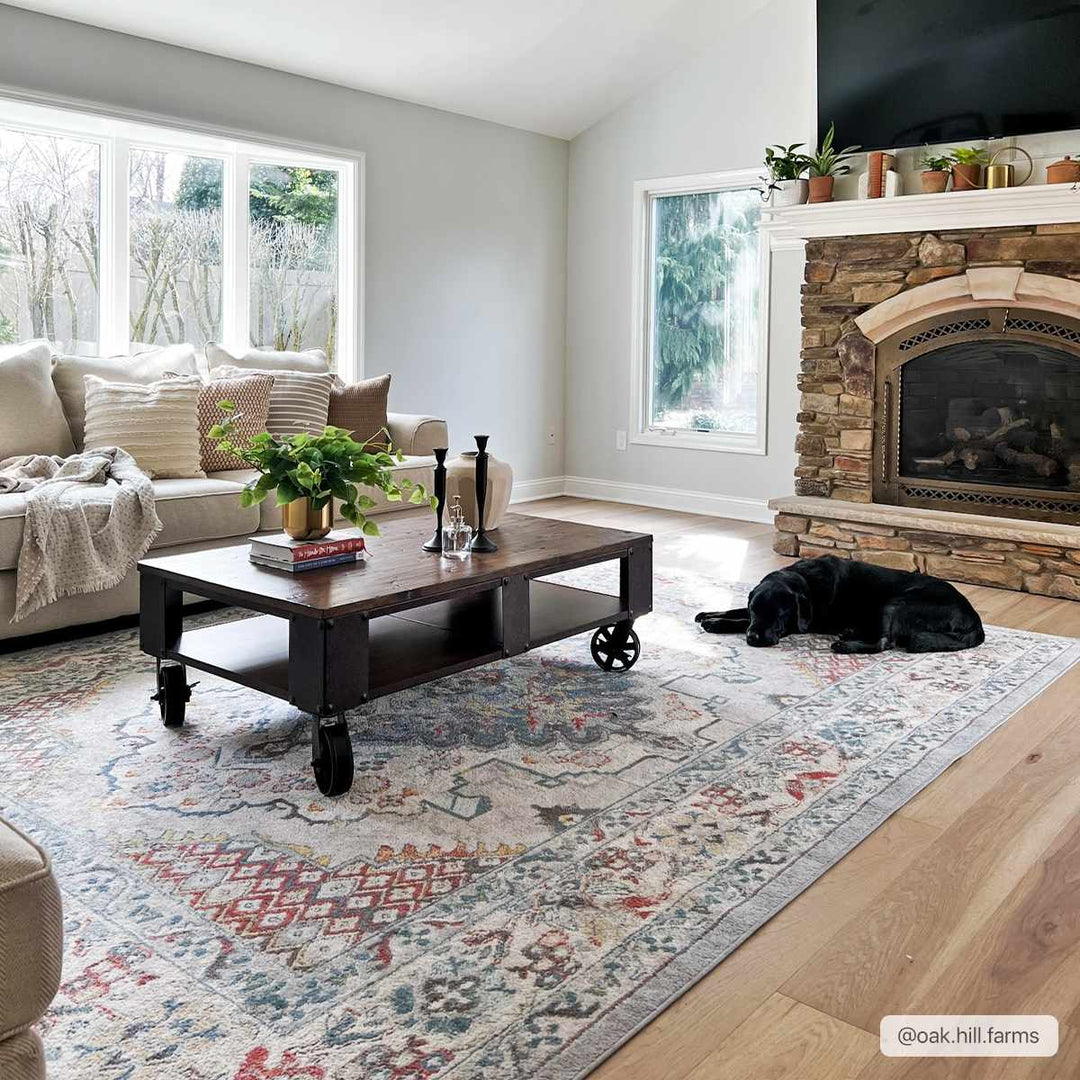 Antique look Traditional Machine Woven Tan, Charcoal, Ivory and Rust Multi Size Rug - The Rug Decor