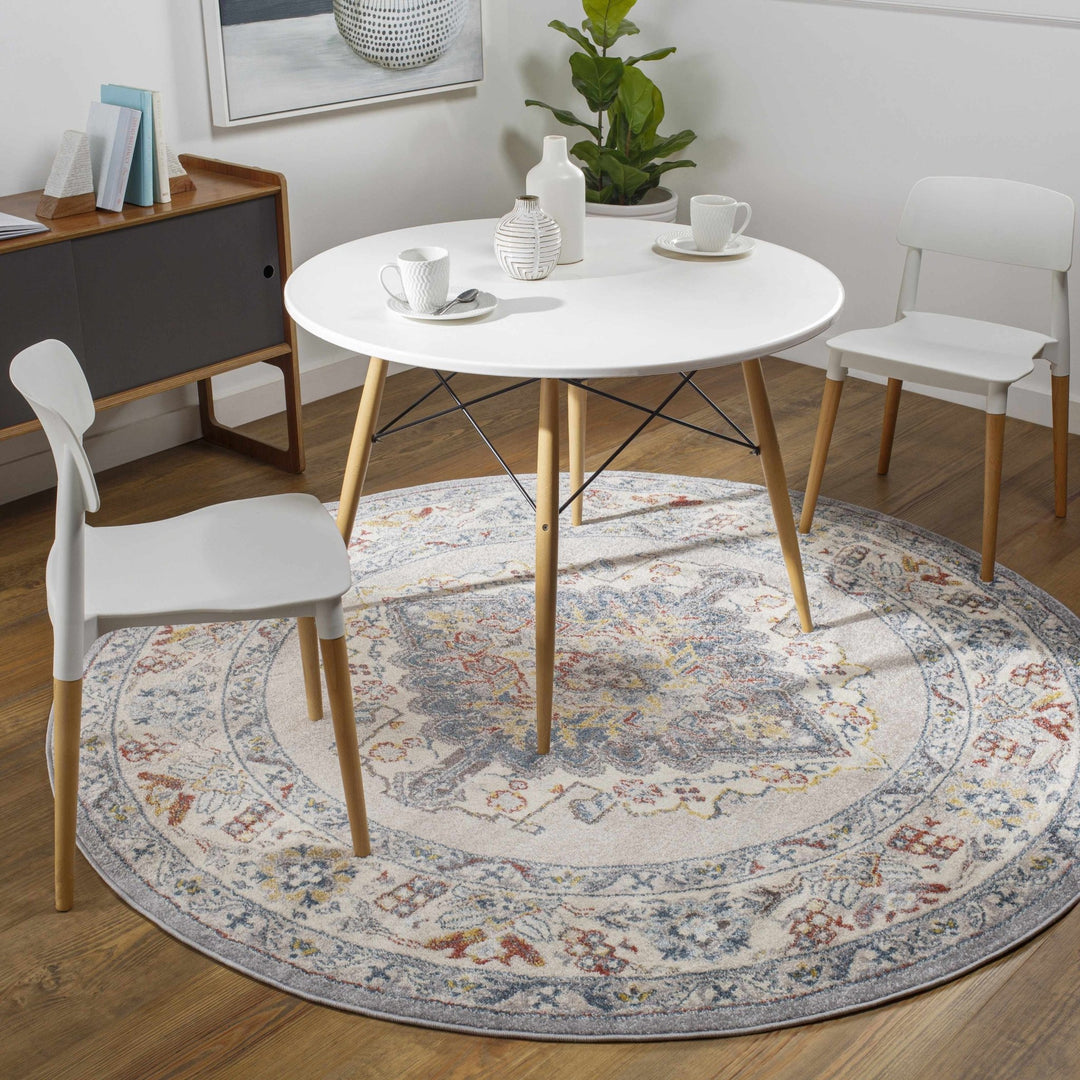 Antique look Traditional Machine Woven Tan, Charcoal, Ivory and Rust Multi Size Rug - The Rug Decor