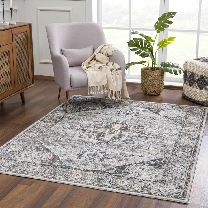 Antique Style Gray, Charcoal, Gold and Brown Traditional Heriz Design Area Rug - The Rug Decor