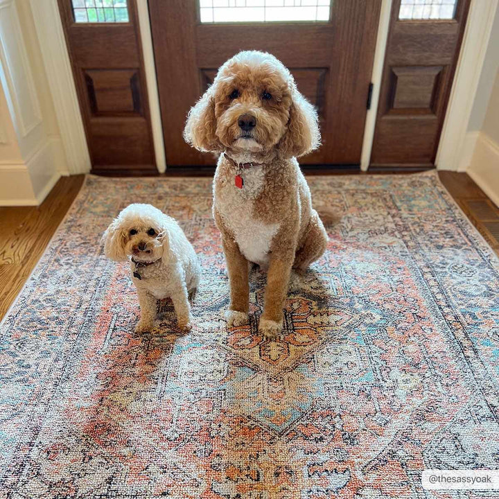 Antique style Rust, Blue, Beige and Charcoal Traditional Heriz Washable Area Rug - The Rug Decor