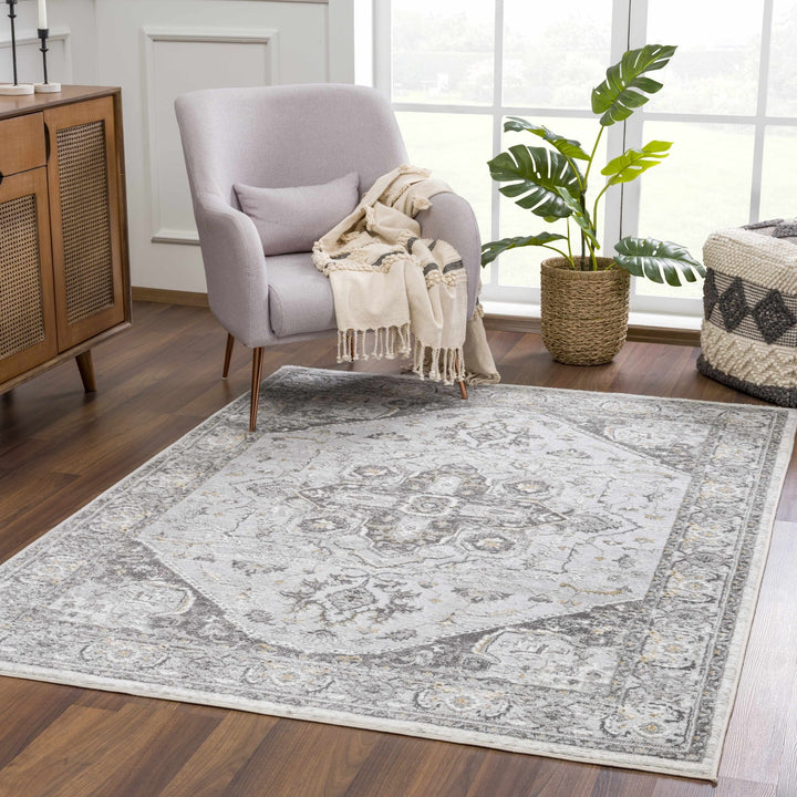 Antique Style Traditional Design Heriz Gray, Charcoal And Gold Area Rug - The Rug Decor