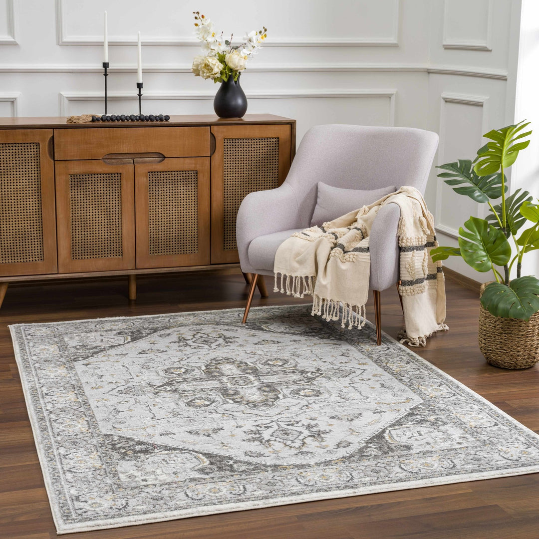 Antique Style Traditional Design Heriz Gray, Charcoal And Gold Area Rug - The Rug Decor