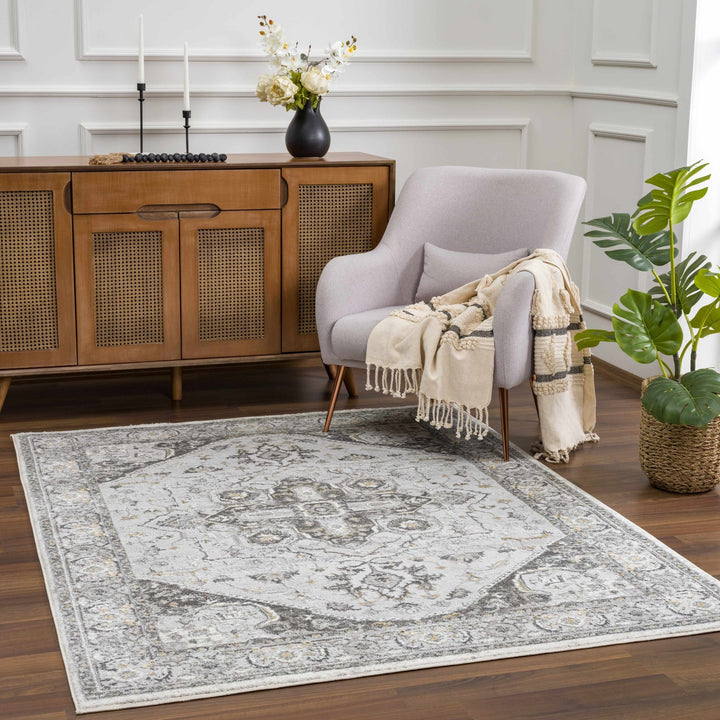 Antique Style Traditional Design Heriz Gray, Charcoal And Gold Area Rug - The Rug Decor