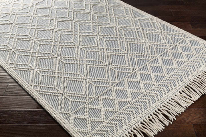 Beige and Gray Hand Woven Tasseled Texture Wool and Cotton Blended Rug - The Rug Decor