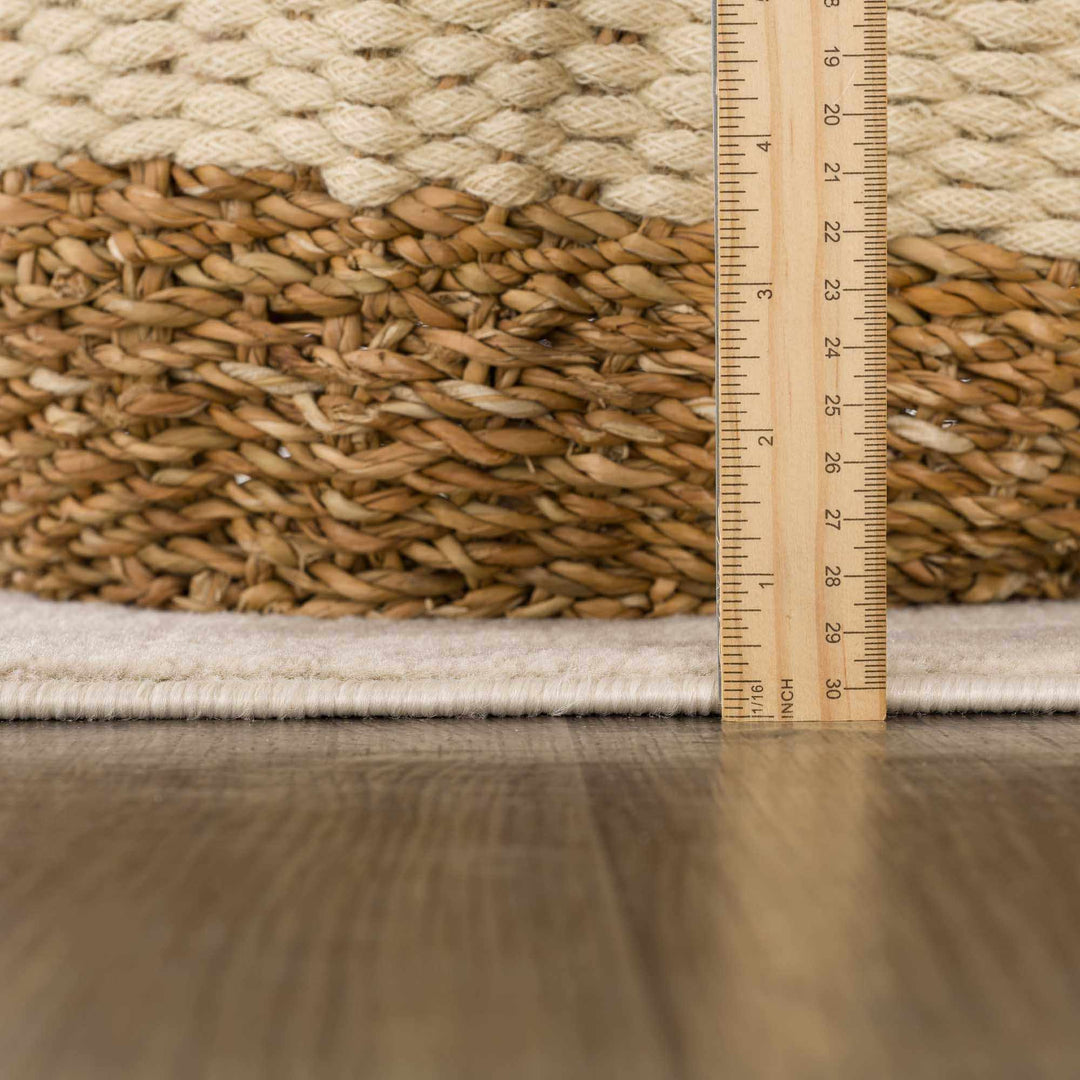 Beige and Tan Modern Zebra Skin Print Area Rug - The Rug Decor
