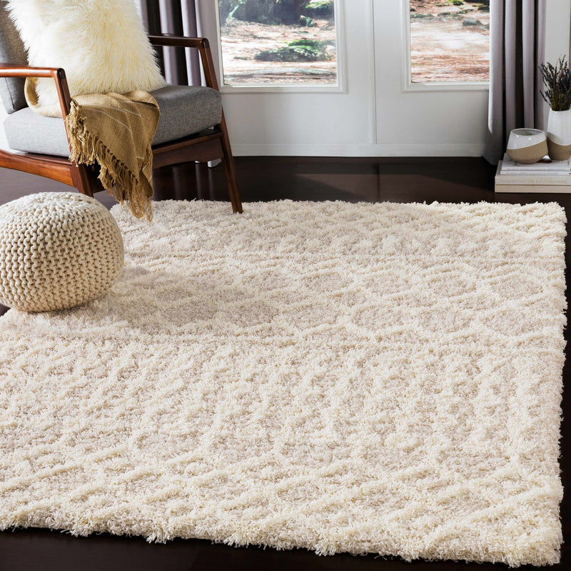 Contemporary Beige and Ivory Tribal Design Plush pile Multi Size Area Rug - The Rug Decor